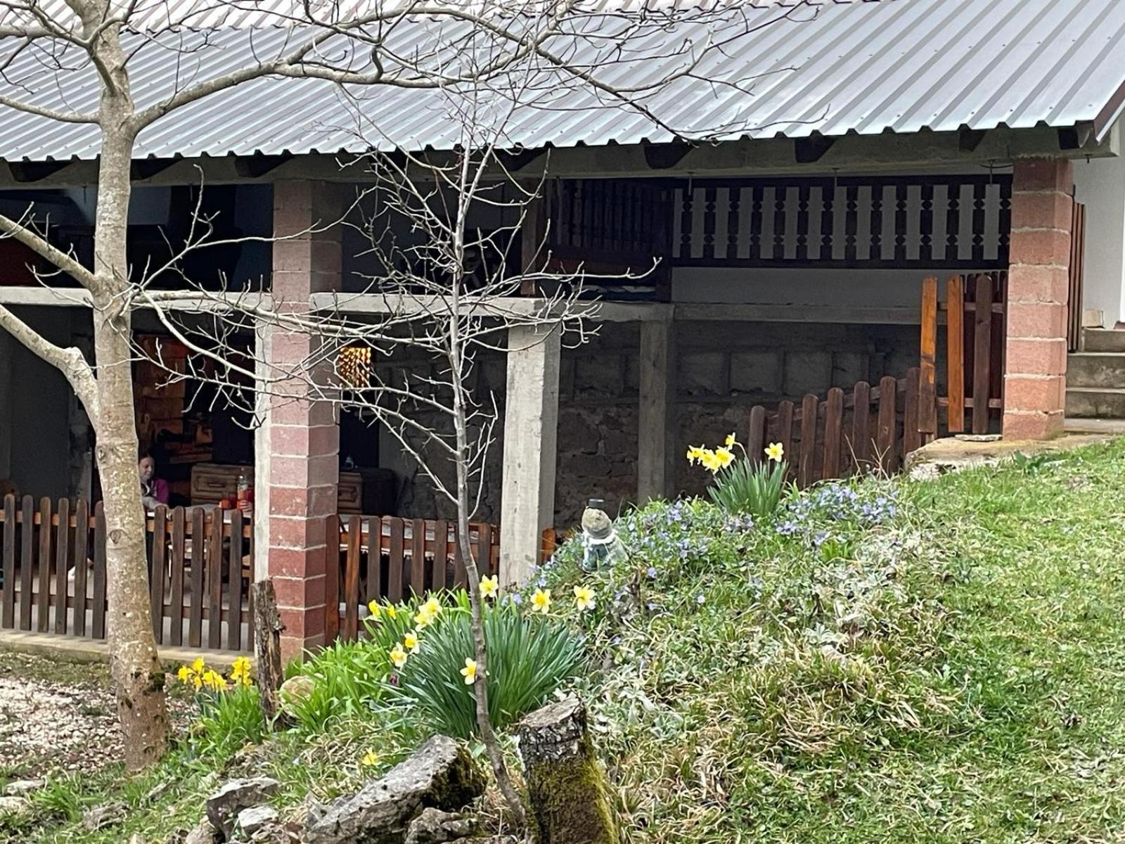 Mirni Kutak Villa Donje Pazariste Eksteriør bilde